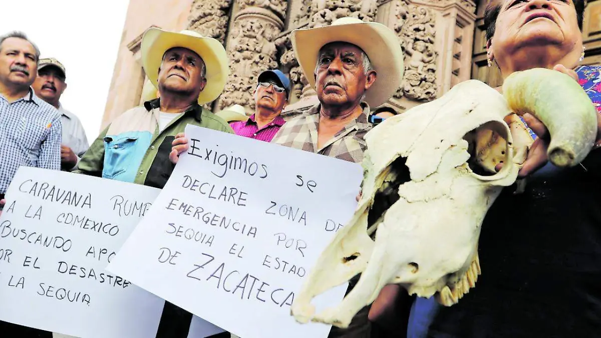 Productores de frijol en Zacatecas